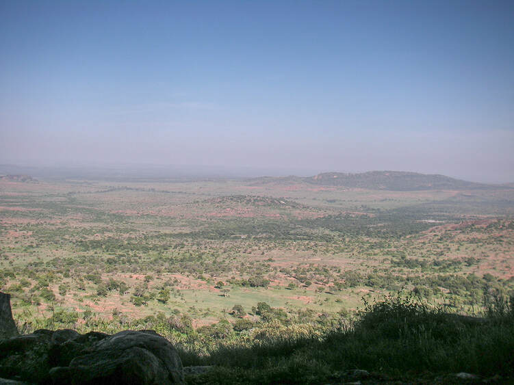 Kenyan Safari, Kenya, Lolldaiga ranch 